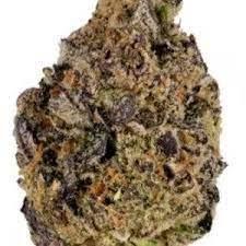 Purplegelato