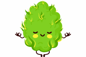 Auto-flowering Marijuana Seeds in Alabama  