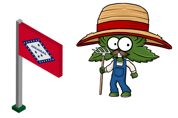 Hand holding a rake near a flag of Arkansas, symbolizing legal access to cannabis seeds for medical use in Arkansas