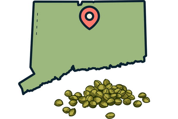 Buy marijuana seeds in Connecticut for legal home growing and access to quality cannabis genetics.