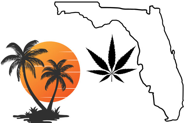 Buy marijuana seeds in Florida for home cultivation, including high-quality feminized and autoflower cannabis strains.