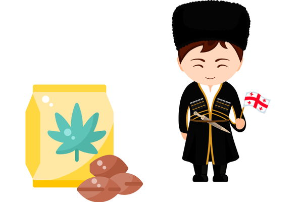 Buy marijuana seeds in Georgia for legal home growing and access to high-quality cannabis genetics.