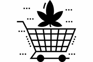 Where to buy marijuana seeds in Georgia - the seed connect