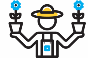 Growing Marijuana Seeds in Arkansas