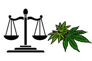 Is It Legal to Grow Marijuana Seeds in Alabama