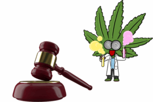 Is It Legal to Buy Marijuana Seeds in Hawaii