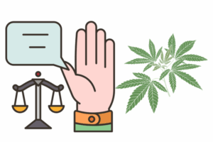 Is it legal to buy marijuana seeds in Colorado