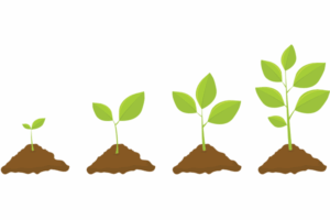 Growing marijuana seeds in alaska