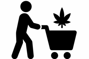 Where to buy Marijuana Seeds in Hawaii