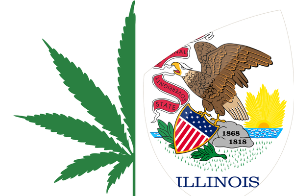 Buy marijuana seeds in Illinois, including top feminized and autoflower cannabis strains for legal home growing.