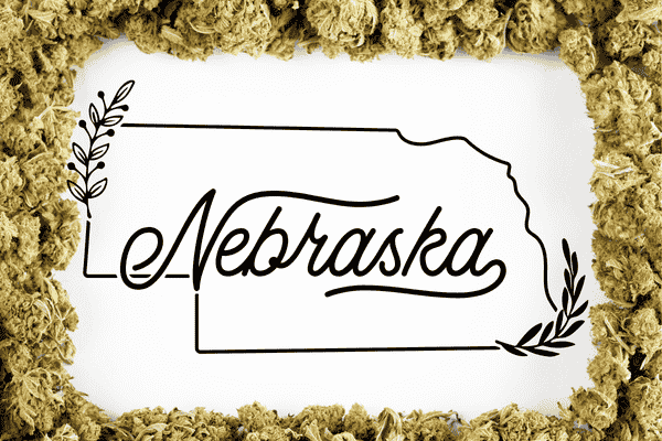 Buy marijuana seeds in Nebraska – premium cannabis strains from The Seed Connect with reliable shipping.