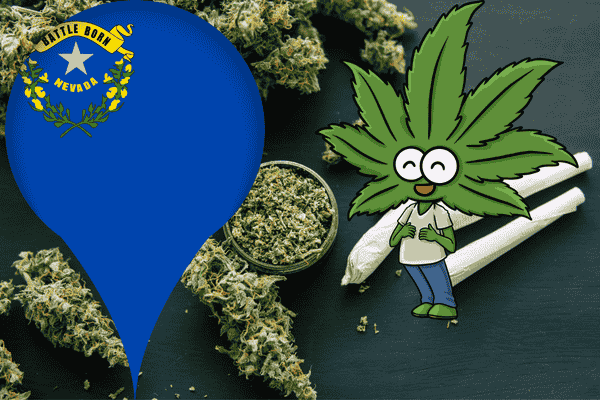 Buy marijuana seeds in Nevada – high-quality cannabis seeds from The Seed Connect with guaranteed germination.