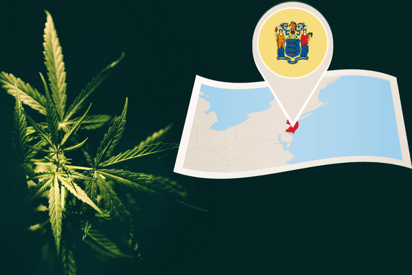 Buy marijuana seeds in New Jersey – premium cannabis seeds from The Seed Connect with guaranteed germination.