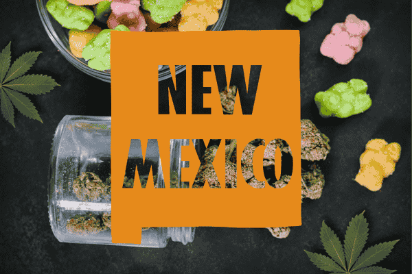 Buy marijuana seeds in New Mexico – premium cannabis strains from The Seed Connect with guaranteed germination.