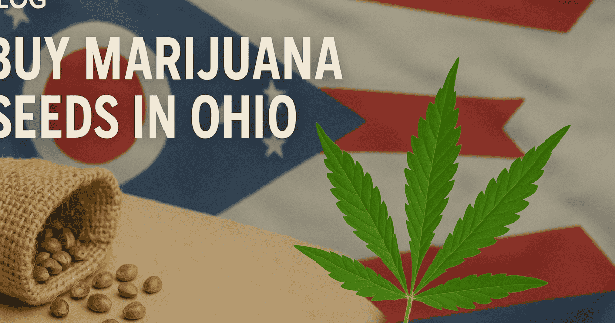 Buy marijuana seeds in Ohio – premium cannabis seeds from The Seed Connect with fast, discreet shipping.