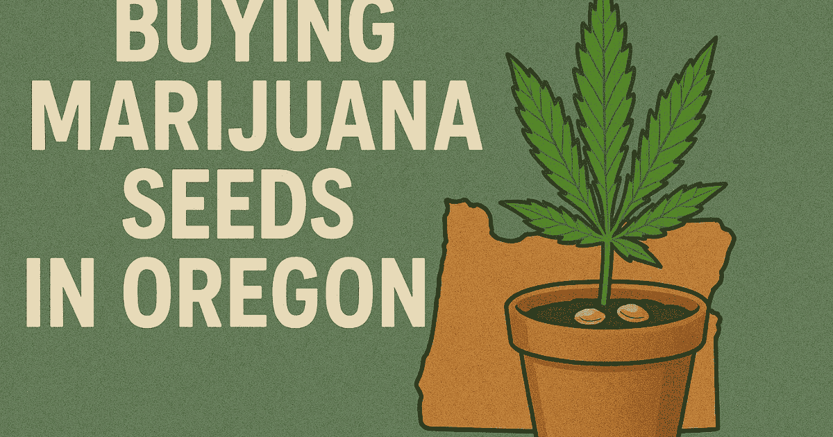 Buy marijuana seeds in Oregon – premium cannabis seeds from The Seed Connect with fast, discreet shipping.