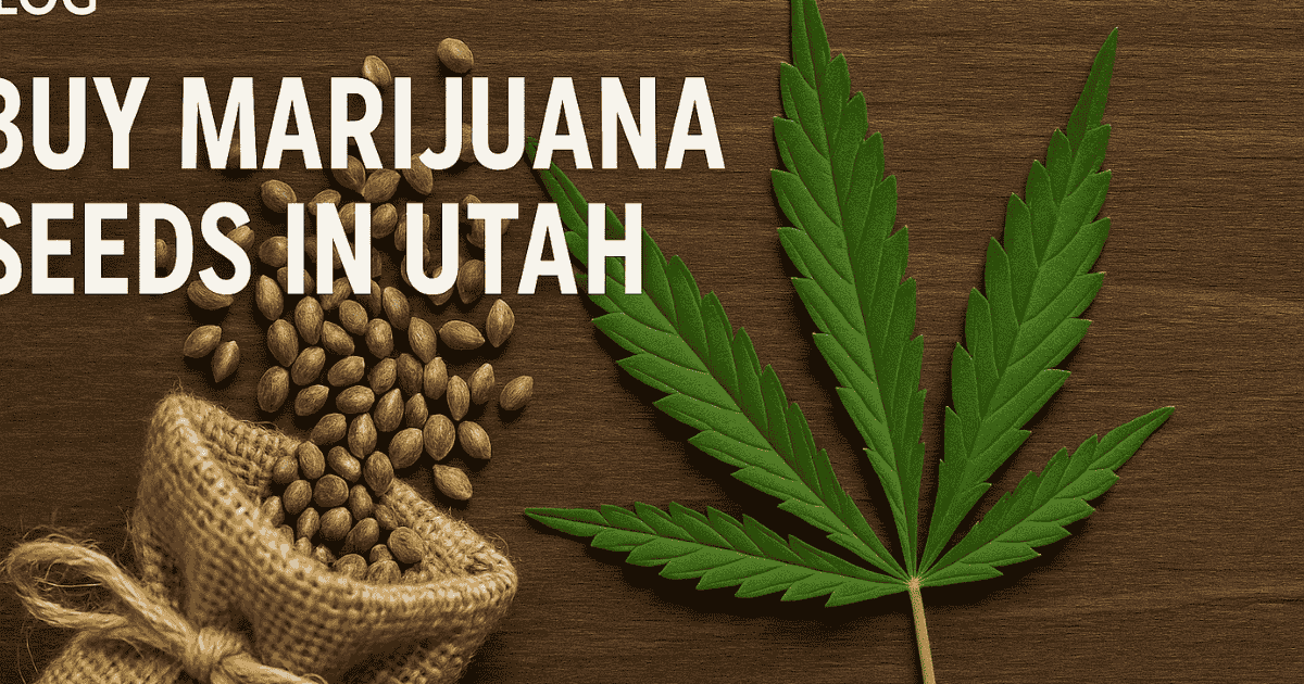 Buy marijuana seeds in Utah – premium cannabis genetics from The Seed Connect with fast, discreet shipping.
