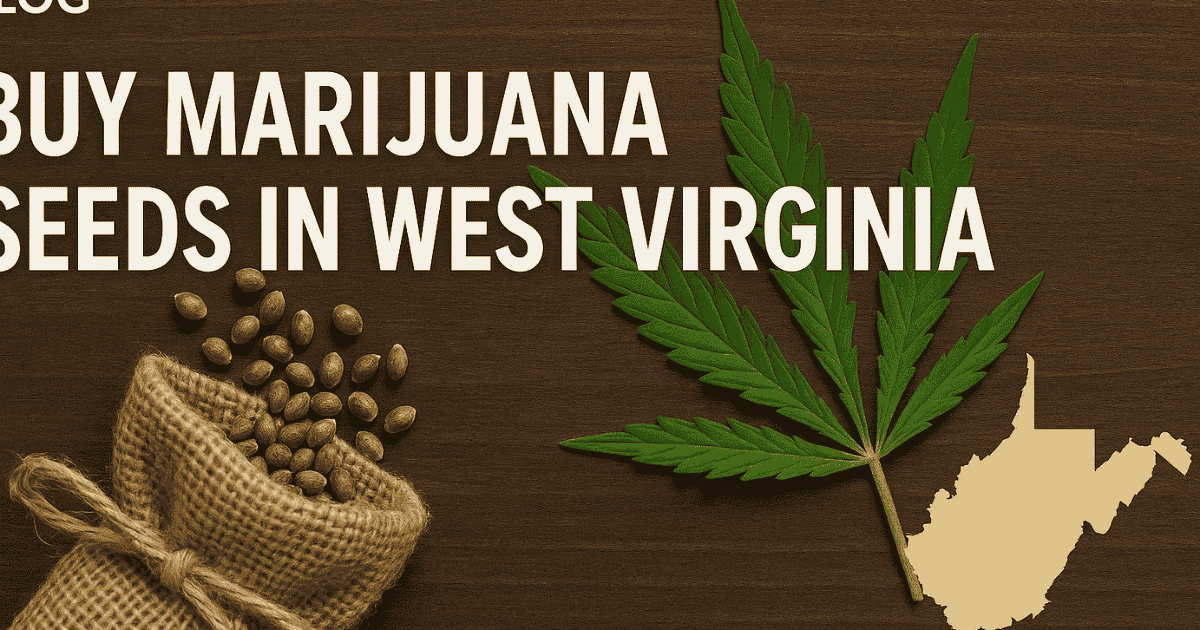 Buy marijuana seeds in West Virginia – premium cannabis genetics from The Seed Connect with fast, discreet shipping.