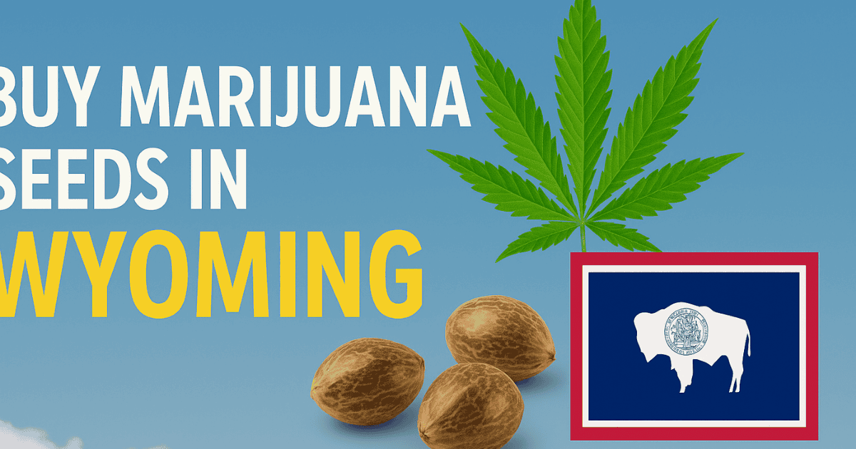 Buy marijuana seeds in Wyoming – premium cannabis genetics from The Seed Connect with fast, discreet shipping.
