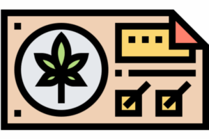 Growing marijuana seeds in Kentucky from the seed connect