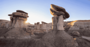 Growing Marijuana Seeds in New Mexico