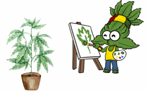 Growing marijuana seeds in Ohio