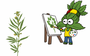 Growing marijuana seeds in Rhode Island