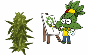 how to grow marijuana seeds in Tennessee