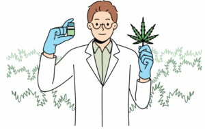 growing marijuana seeds in west virginia