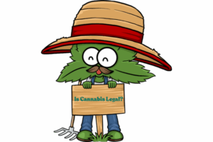 Is it legal to buy marijuana seeds in Maryland