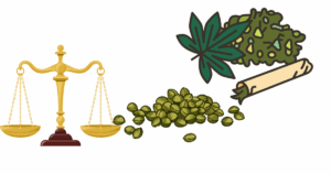 Is it legal to buy marijuana seeds in North Carolina