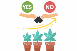 Is it legal to buy marijuana seeds in Nevada?