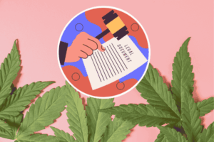 Is it legal to buy marijuana seeds in New Jersey