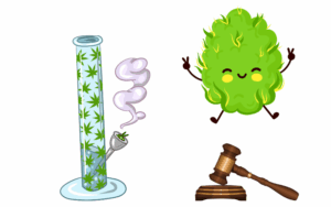 is it legal to buy marijuana seeds in Texas