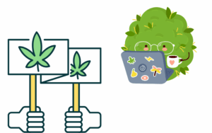 Is it legal to buy marijuana seeds in Washington DC