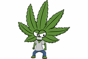 Issues to consider when growing Marijuana Seeds In Louisiana