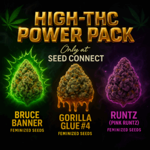 High THC Power Pack
