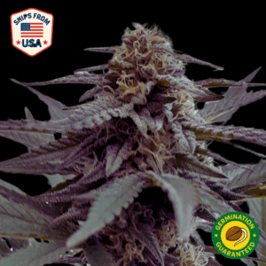 Auto Permanent Marker